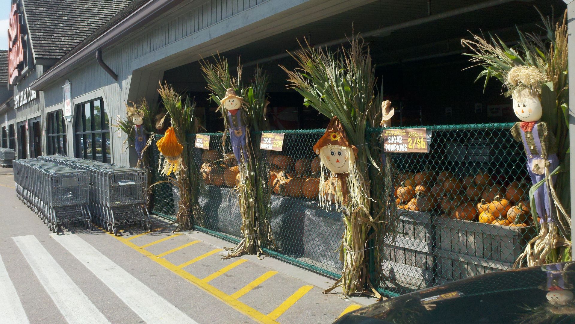 Green Mountain Fence recent project