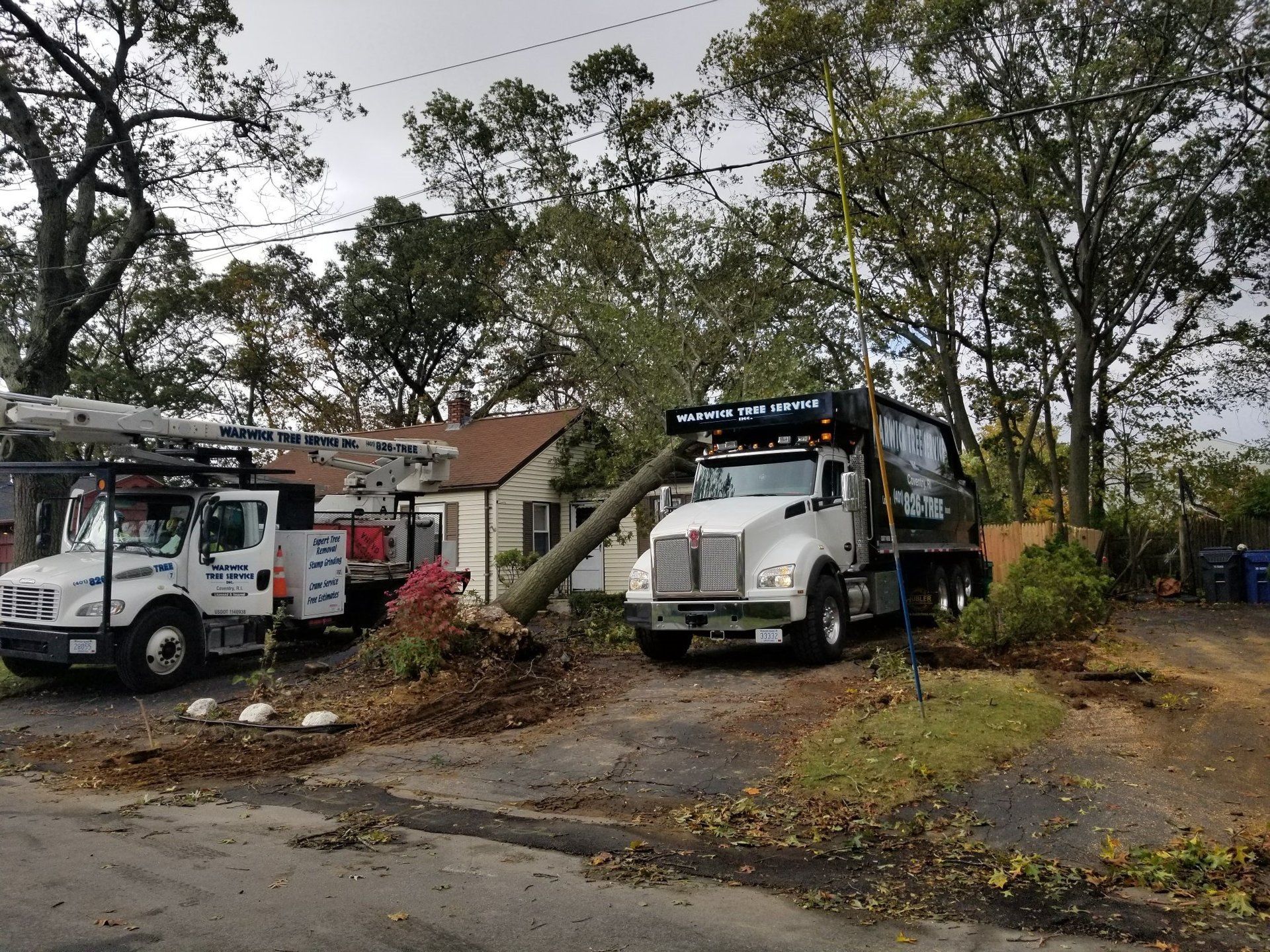 Warwick Tree Service Inc Land Clearing Coventry, RI