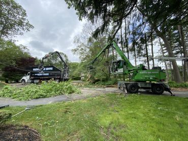 Storm cleanup