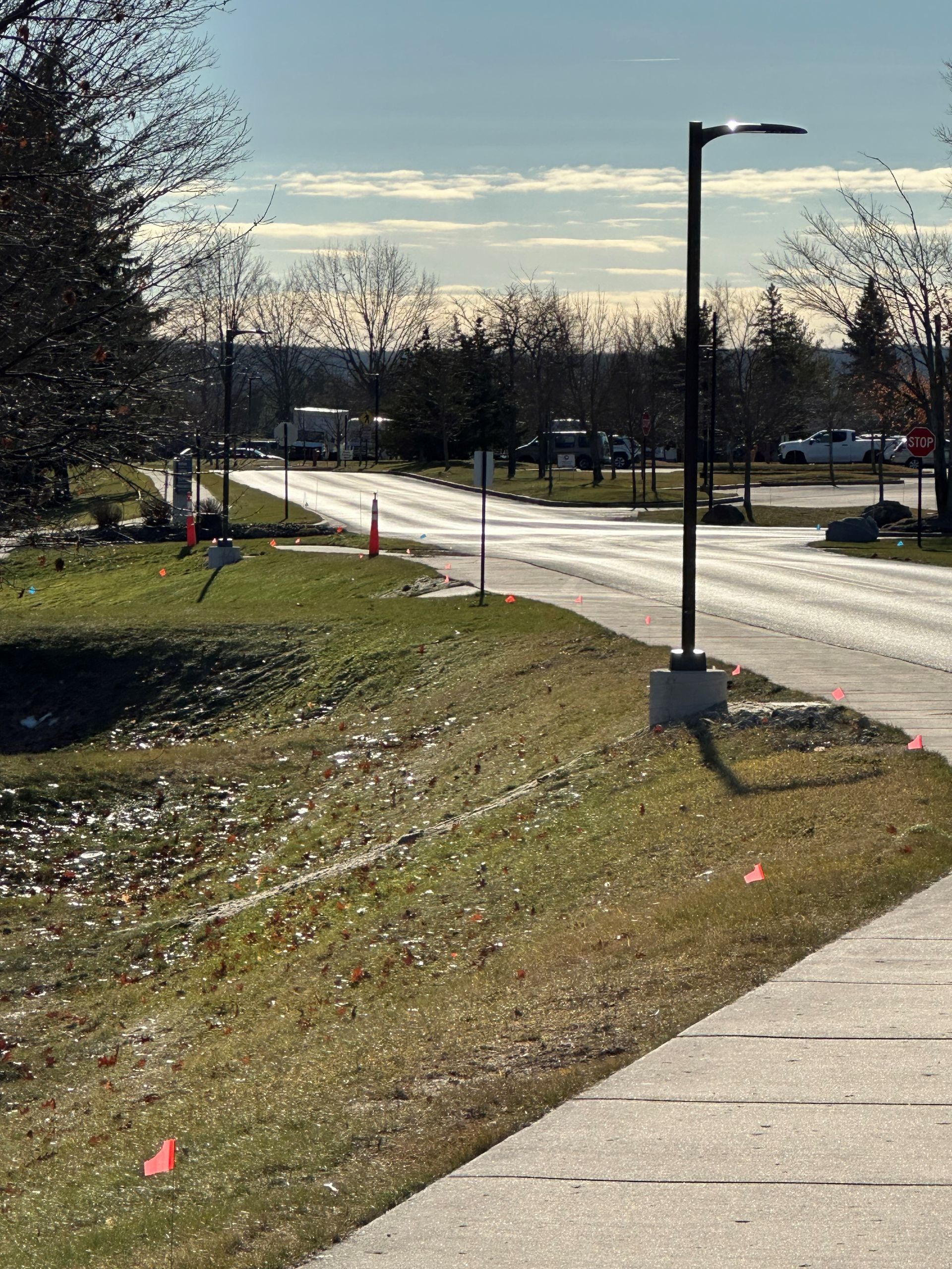 Grassy embankment next to a paved road and sidewalk, with a street light. Orange flags dot the landscape.