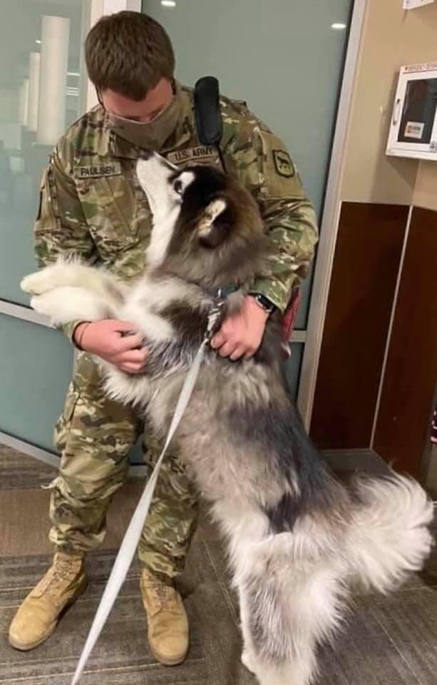 army and dog