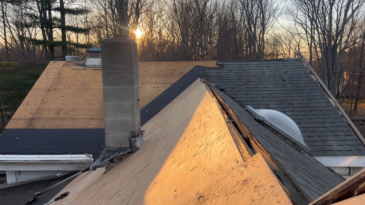 Rooftops at sunset with a chimney and bare trees in the background.