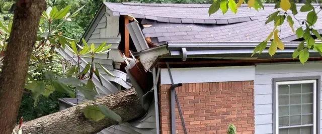 Collapsed tree limb crushing roof edge beside brick house