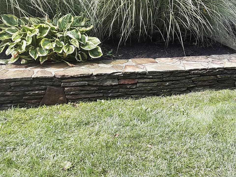 Green lawn with a low stone retaining wall and ornamental plants.