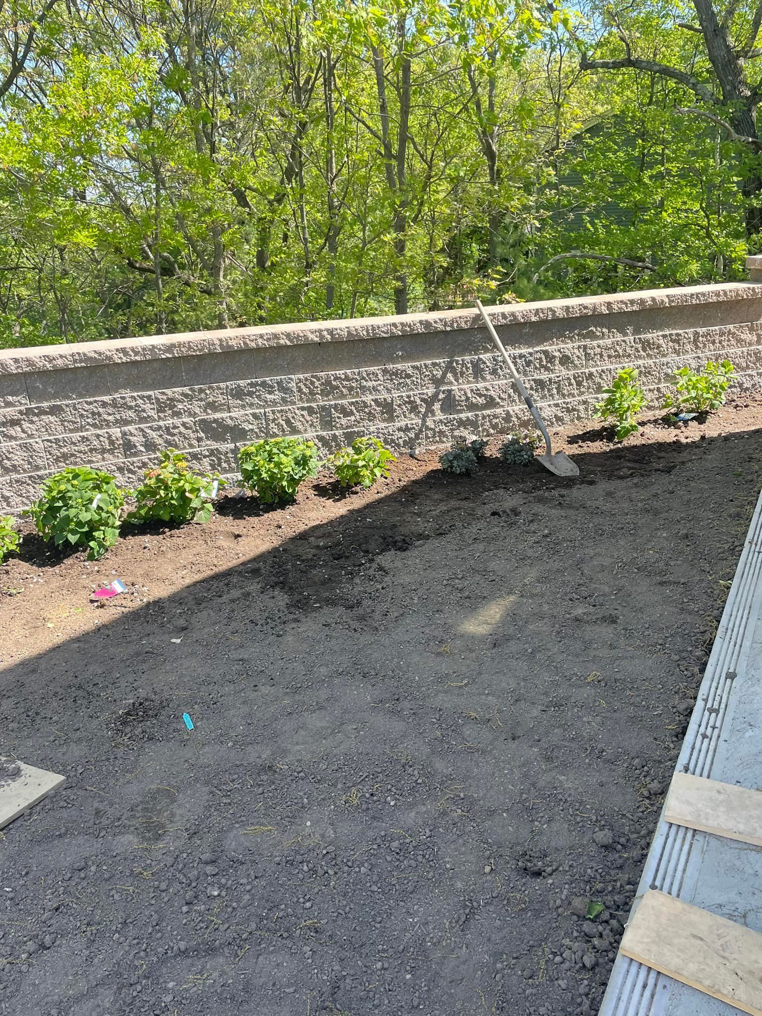 Newly planted garden bed against a textured retaining wall; trees in the background.