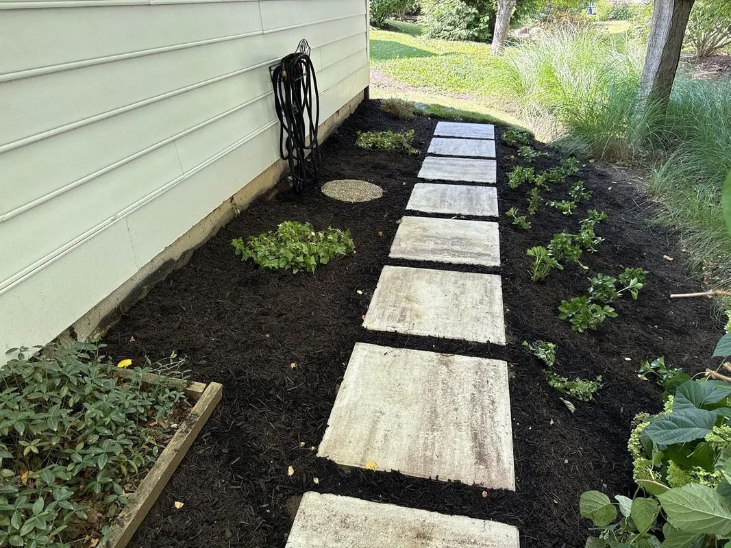 Narrow garden path of concrete stepping stones beside a house with dark mulch and small shrubs