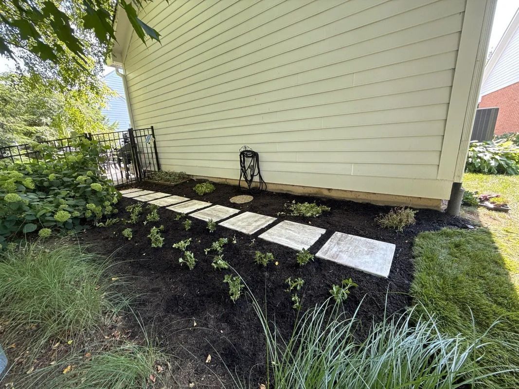 Raised garden bed with white stepping stones beside a house wall and green landscaping