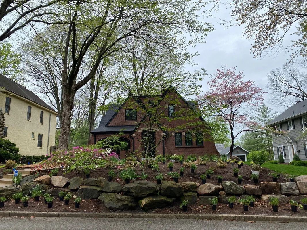 Brick house behind a stone wall and spring flowers under tall trees on a cloudy day