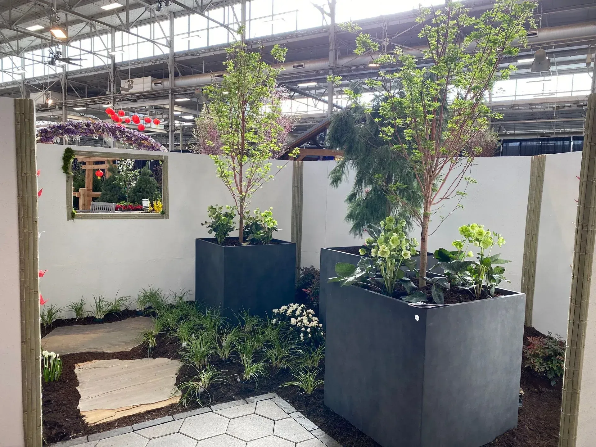 Indoor garden display with potted trees, white walls, and stone stepping paths under a greenhouse roof