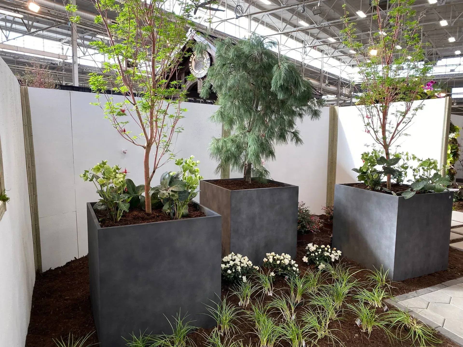 Indoor garden with potted trees and shrubs in large square planters under a glass roof