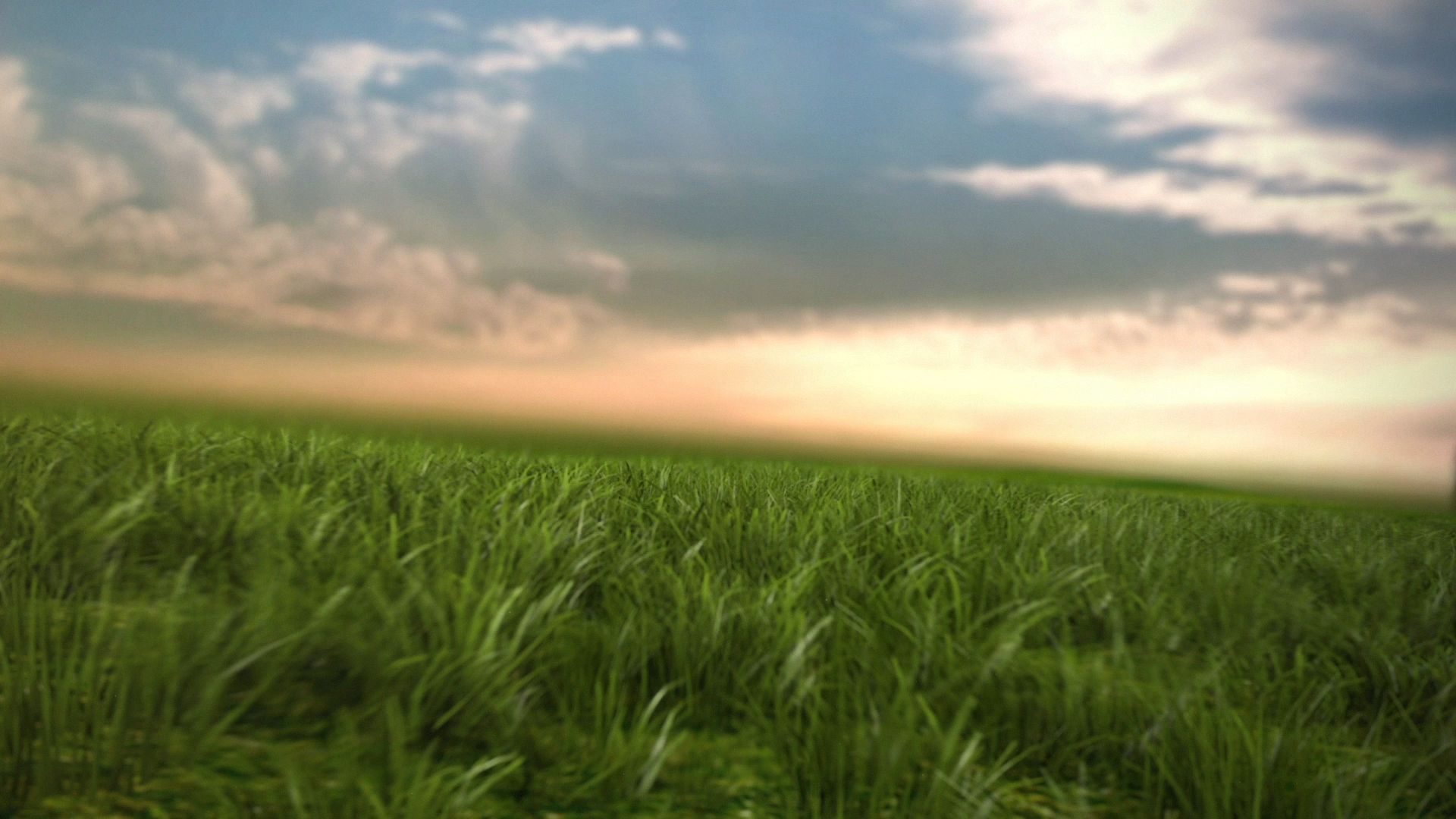 Green field of grass under a cloudy sky, with the sun peeking through the clouds.
