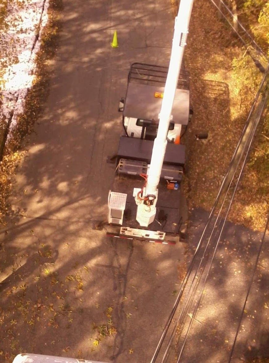 tree removal service truck top view