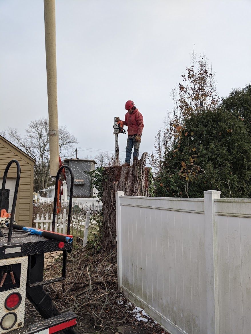 large tree stump with a view of a white fence