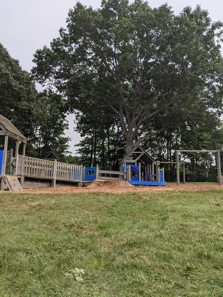playground with huge trees