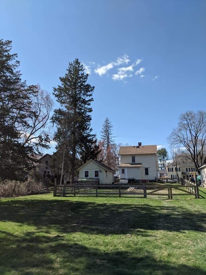 a property with large trees