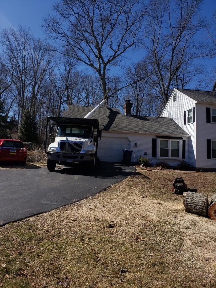 parked tree service trucks