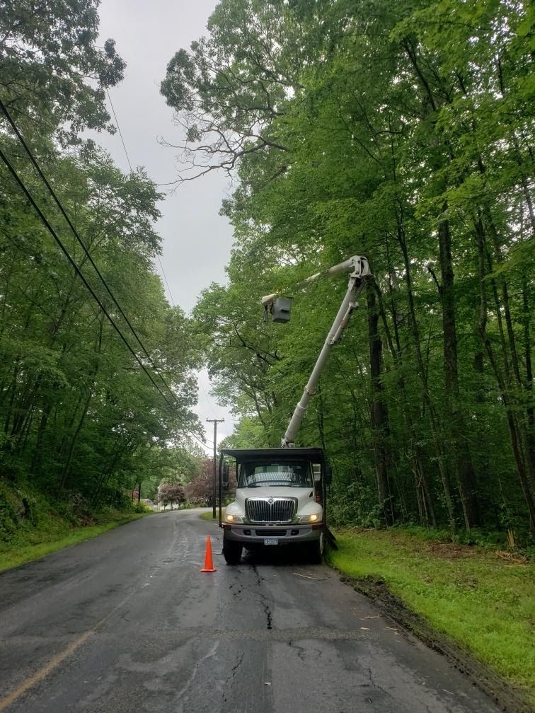 tree services on the street