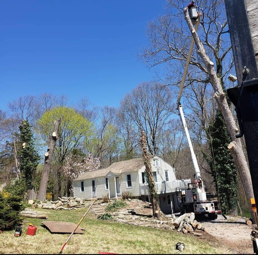a tree being chopped on a property with white house