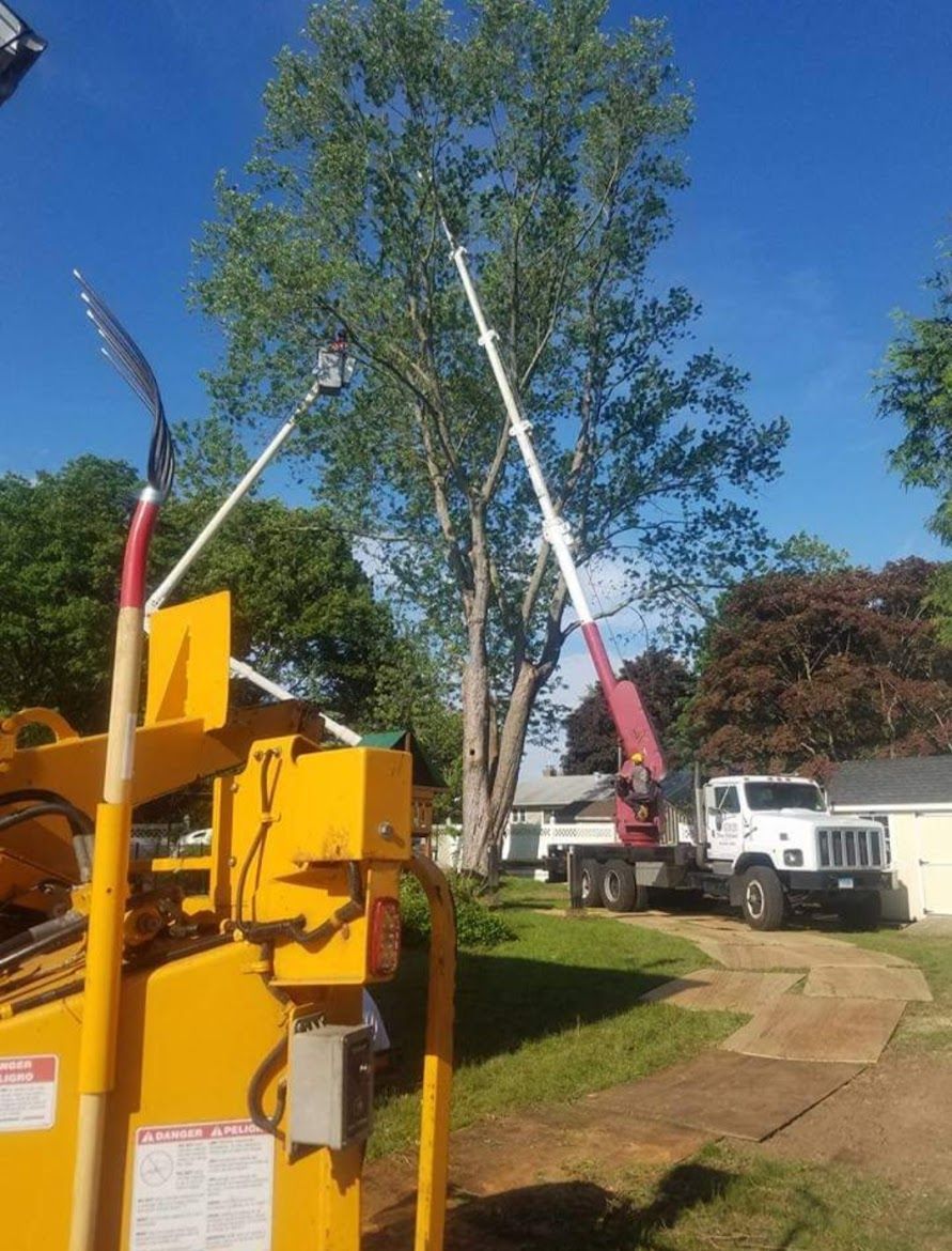 tree service trucks