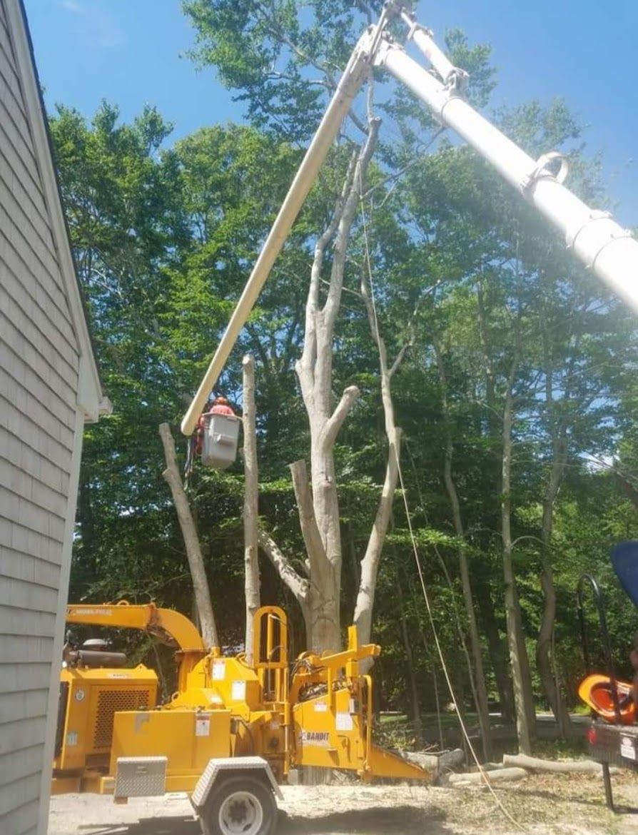 yellow tree service truck