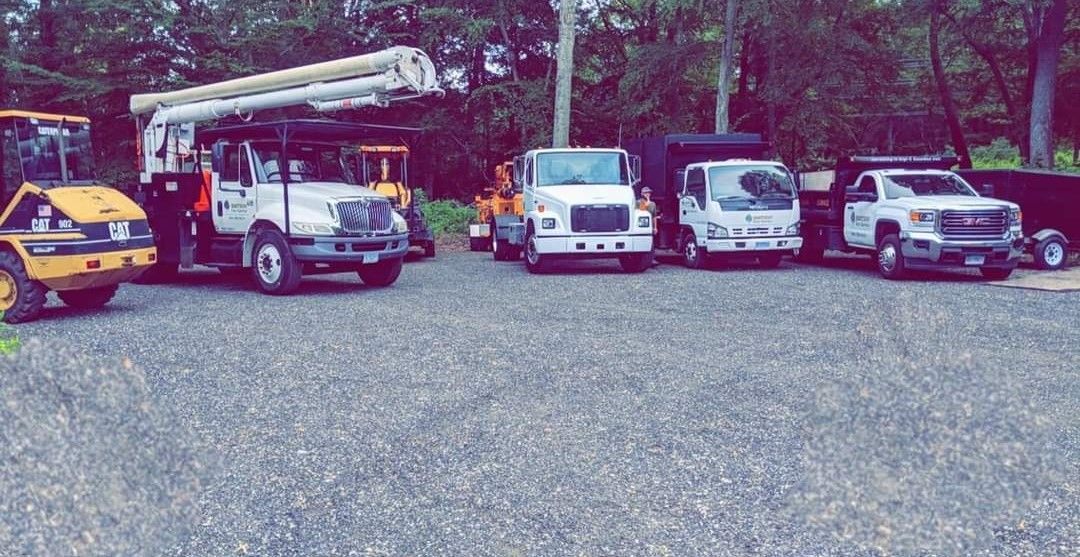 Ibbitson Tree Service tree service trucks