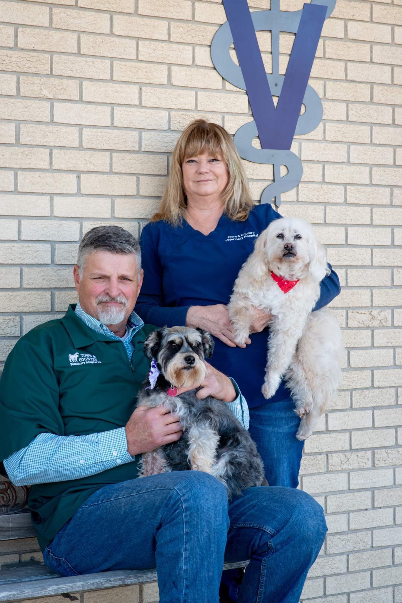 Veterinarians holding a pet dog