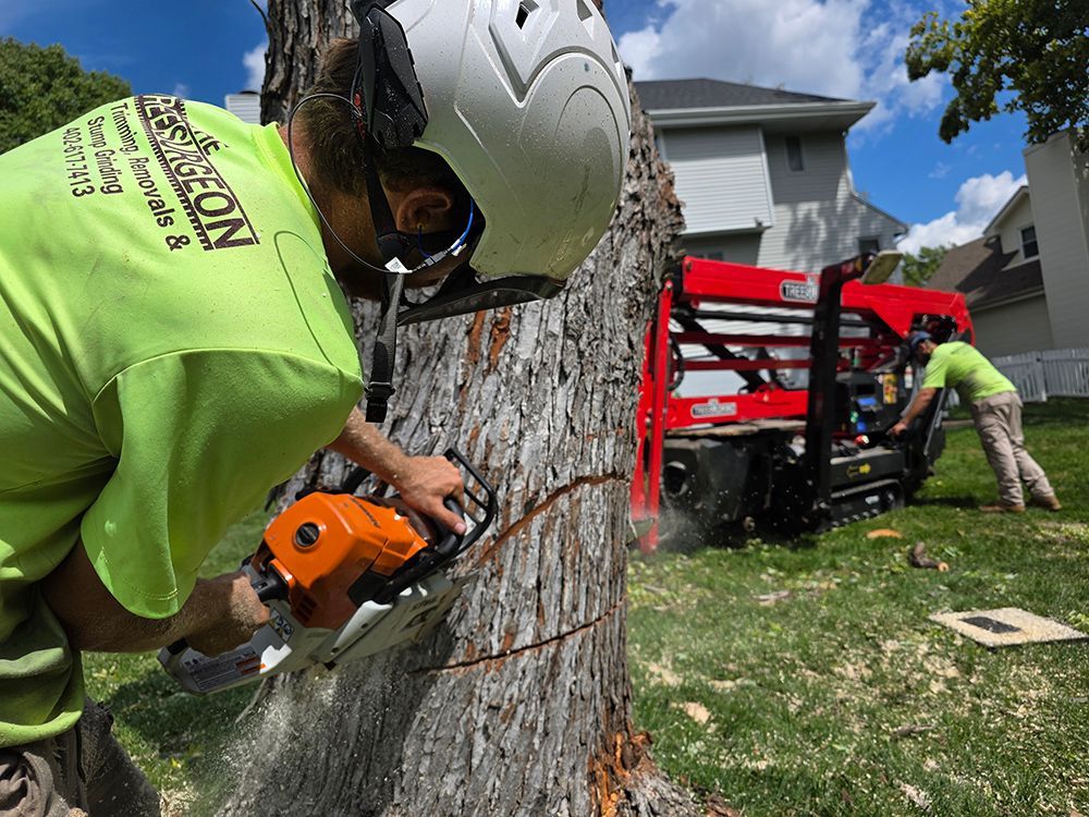 Man in helmet using chainsaw on tree; another operating red machine, both on lawn.