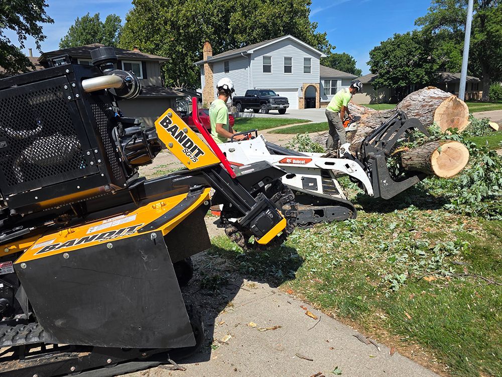 Two workers operating tree removal equipment on a residential lawn, trees and a house visible in the background.