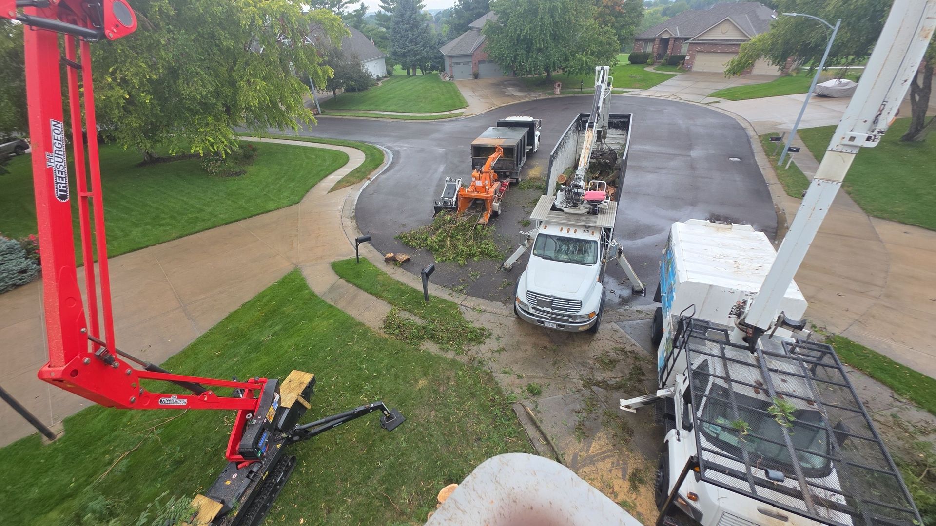 Tree service vehicles on a residential street: chipper, truck, and lift boom removing branches. Green grass and houses in background.