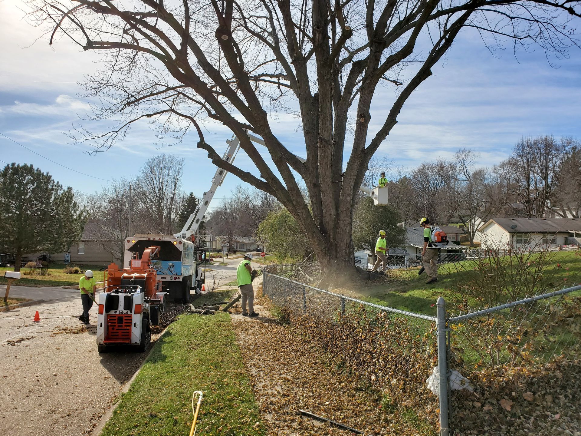 Tree trimming: crew with machinery and tools working on a large tree next to a fence in a neighborhood.