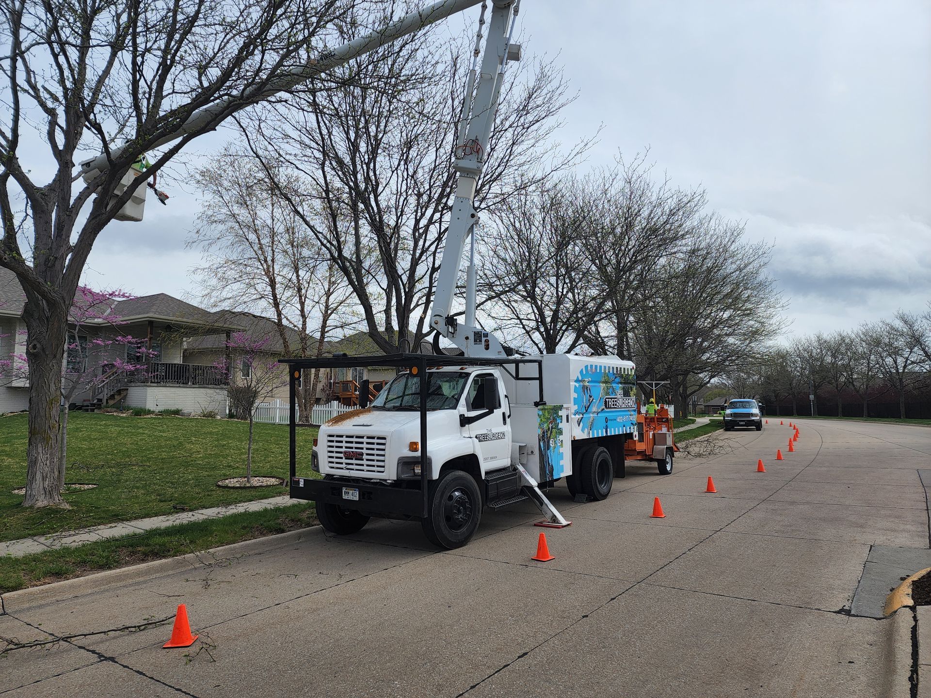 A truck with a lift trimming a tree on a residential street. Orange cones mark the work zone.
