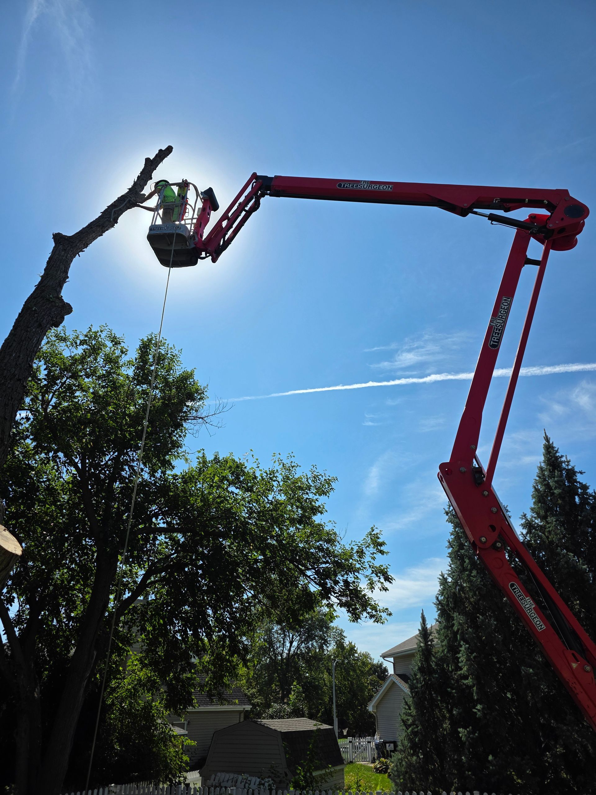 A person trims a tree from a red lift against a bright blue sky.