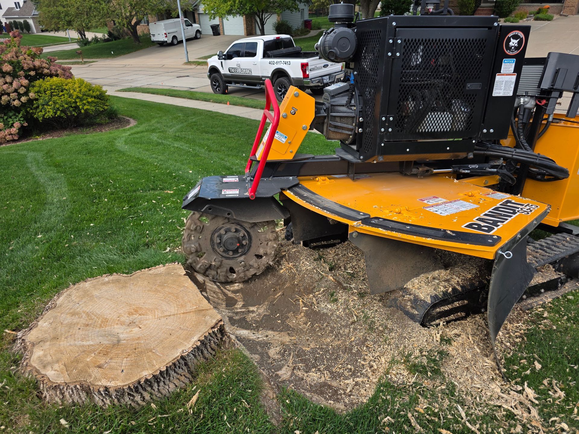 Yellow stump grinder grinding a tree stump in a yard, wood chips visible. White truck in the background.