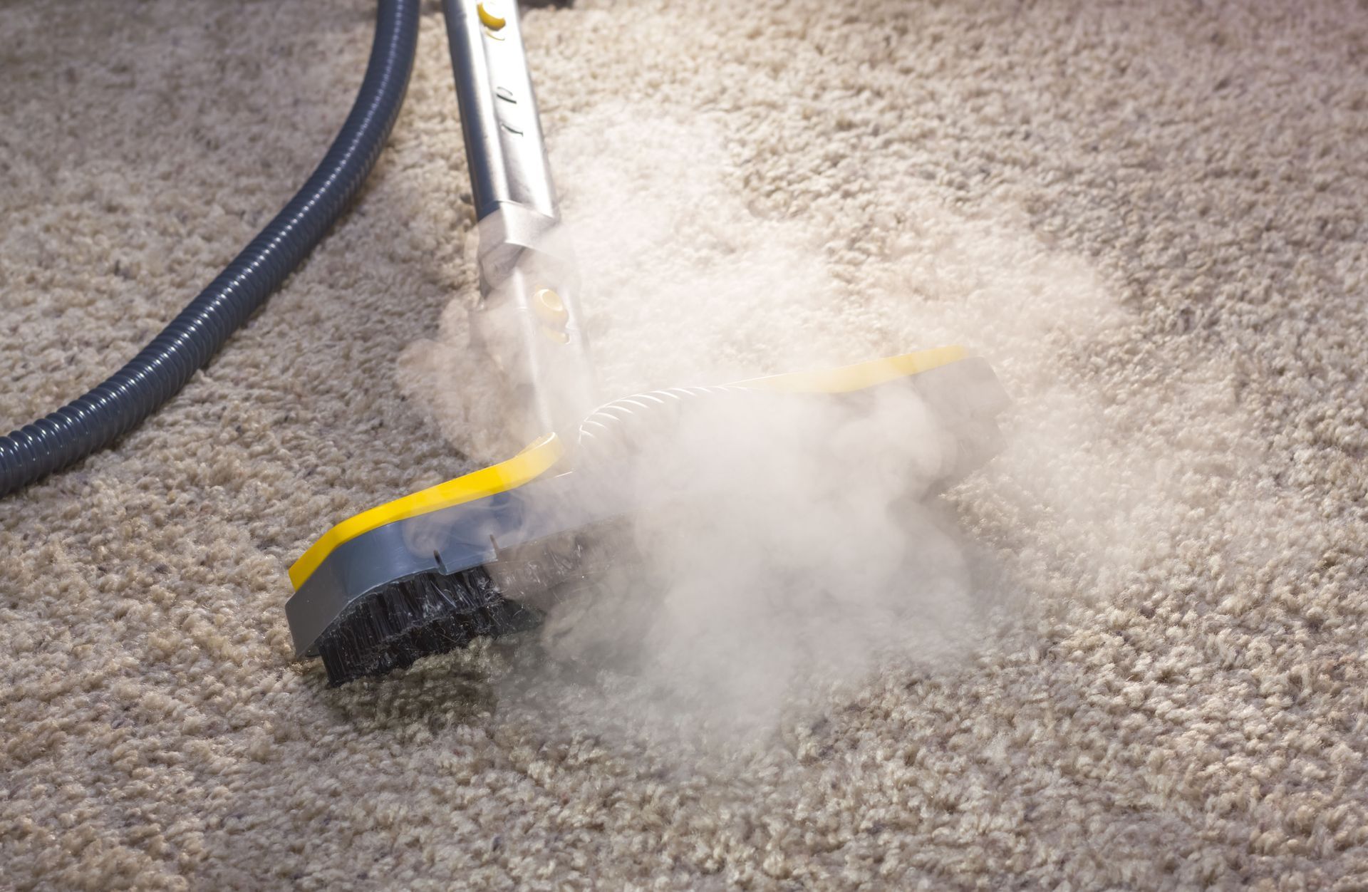 local rug cleaning service