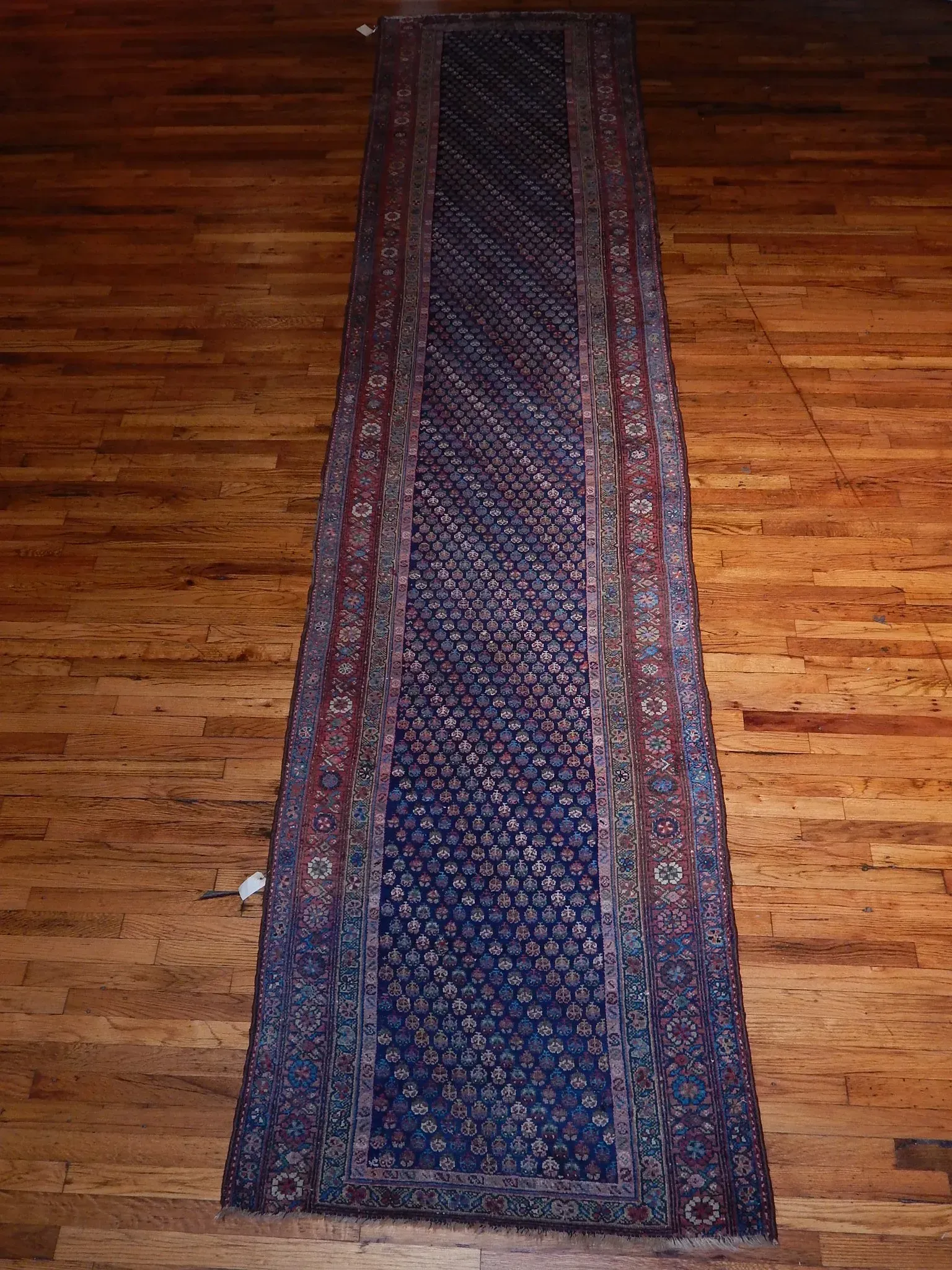 A rug with a detailed pattern on it.