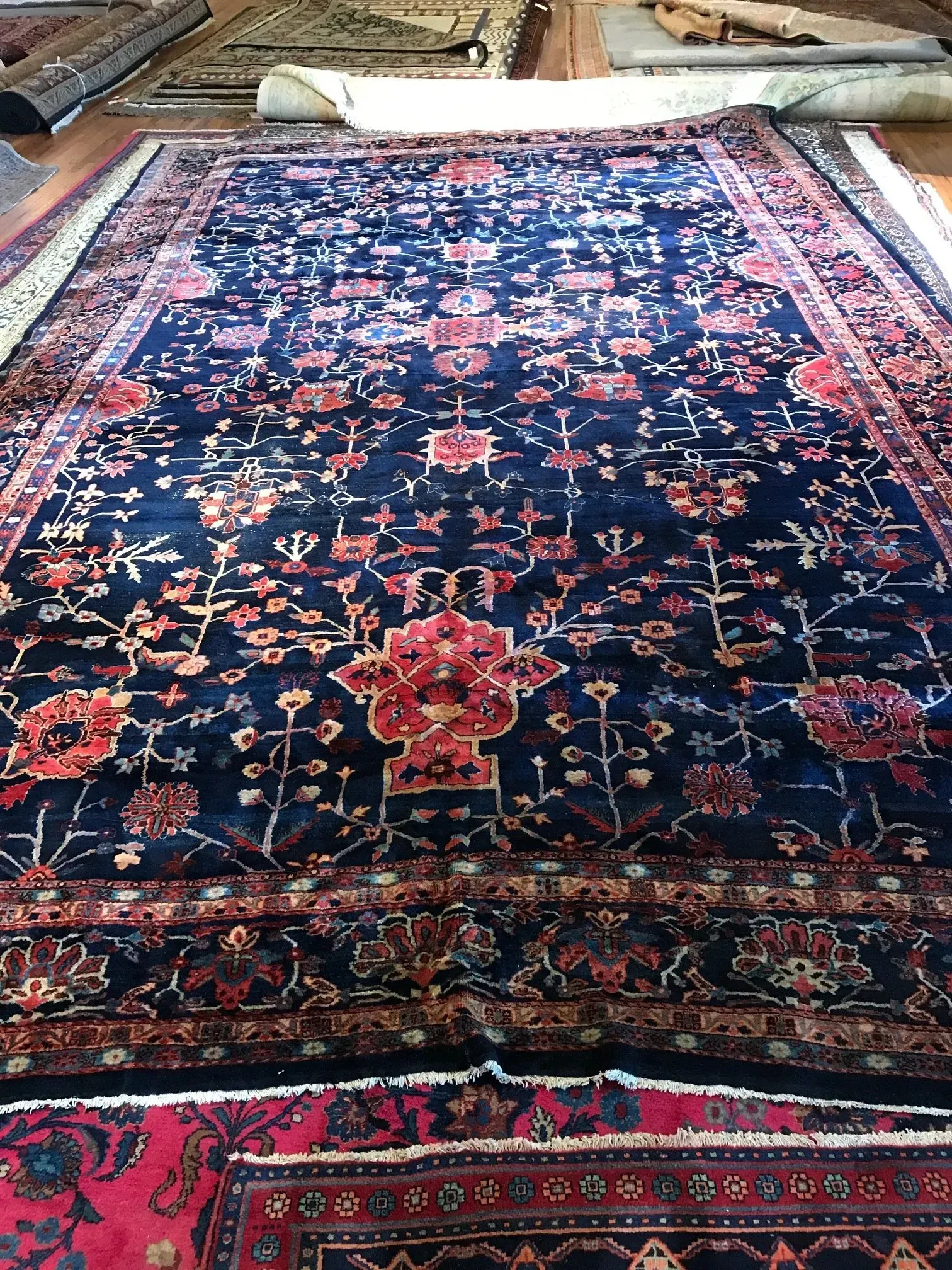 A rug with a detailed pattern on it.