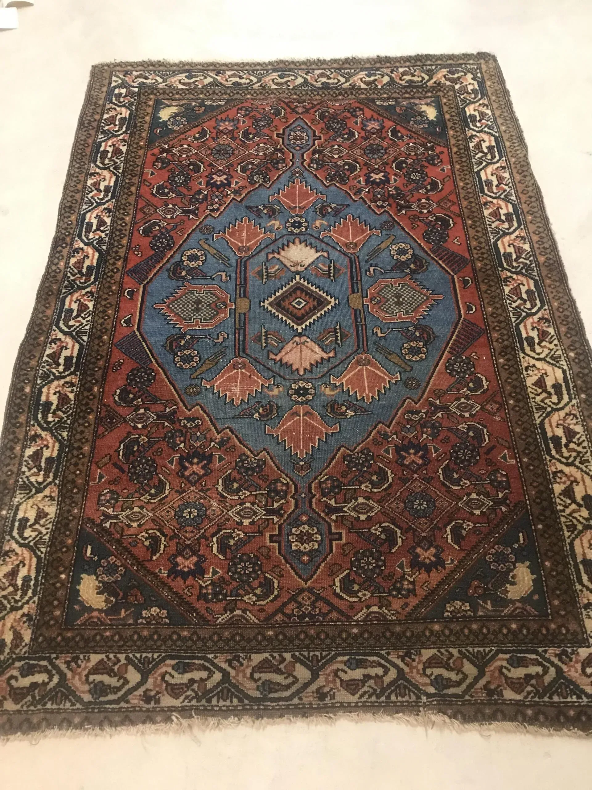 A rug with a detailed pattern on it.