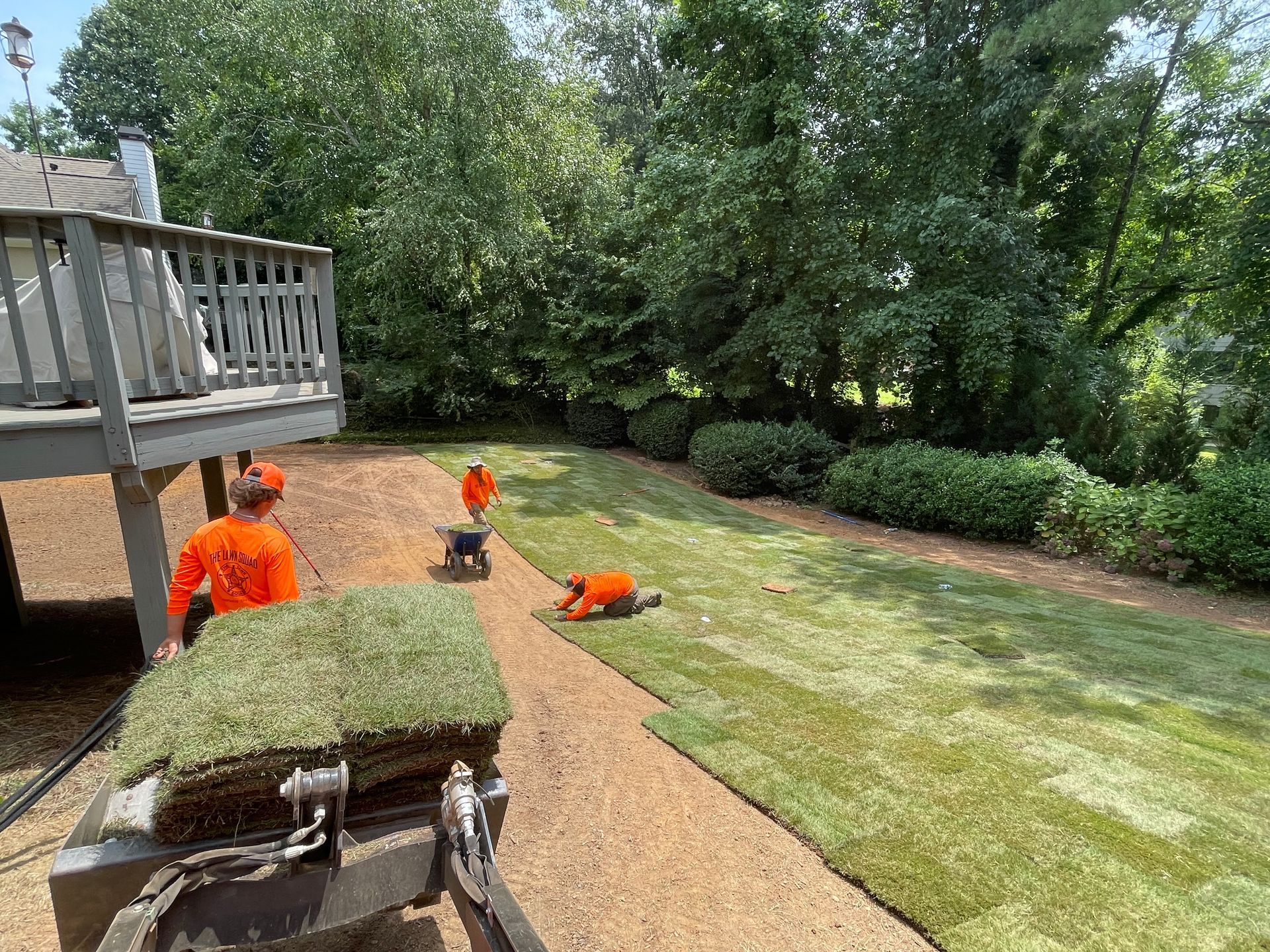 A group of people are working on a lawn in a backyard.