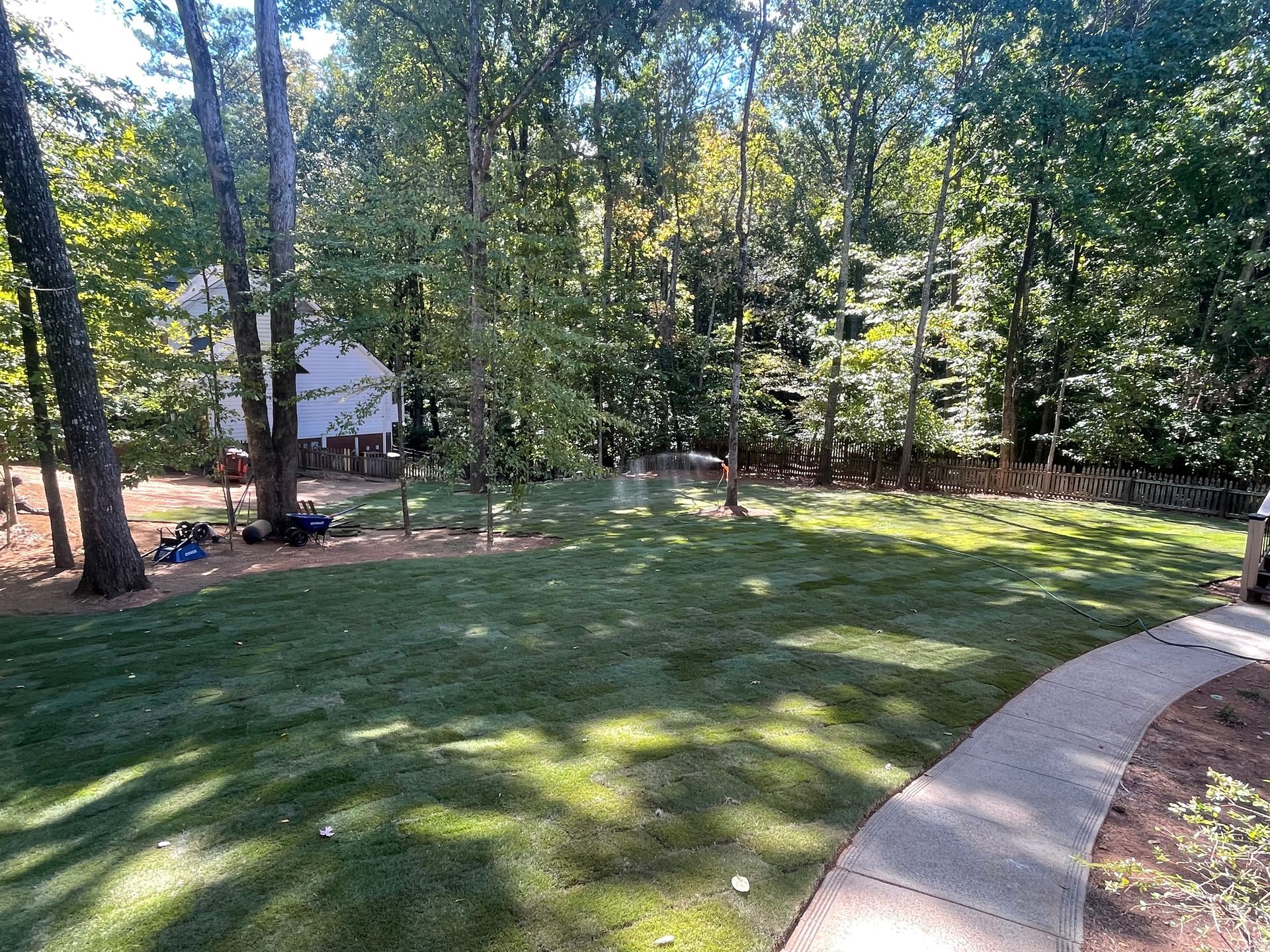 A lush green lawn with a sidewalk and trees in the background.