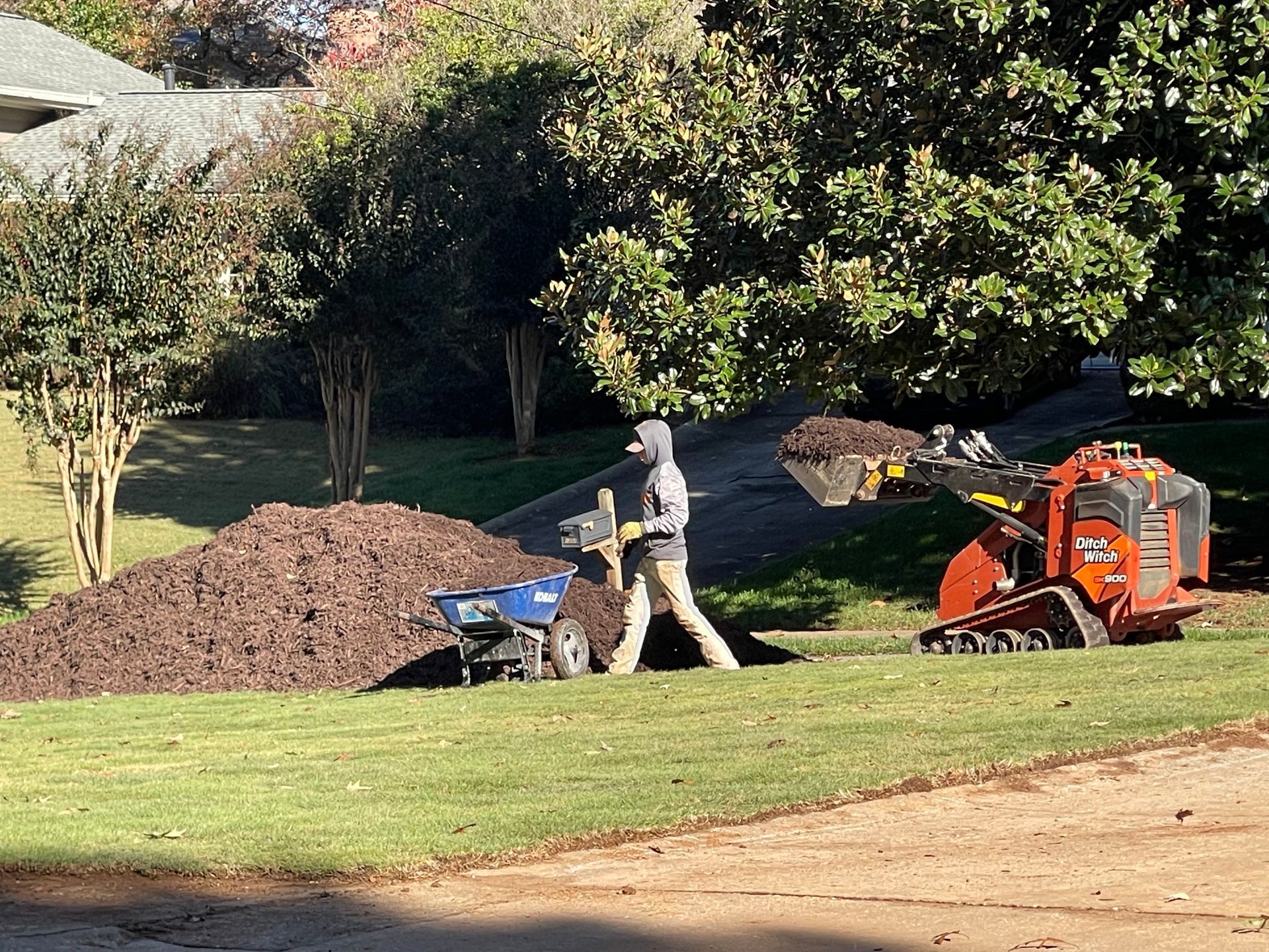 A man is pushing a wheelbarrow full of mulch in a yard.