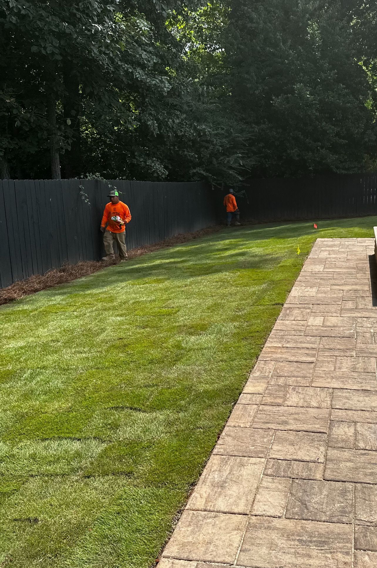 A man is mowing a lush green lawn next to a brick walkway.