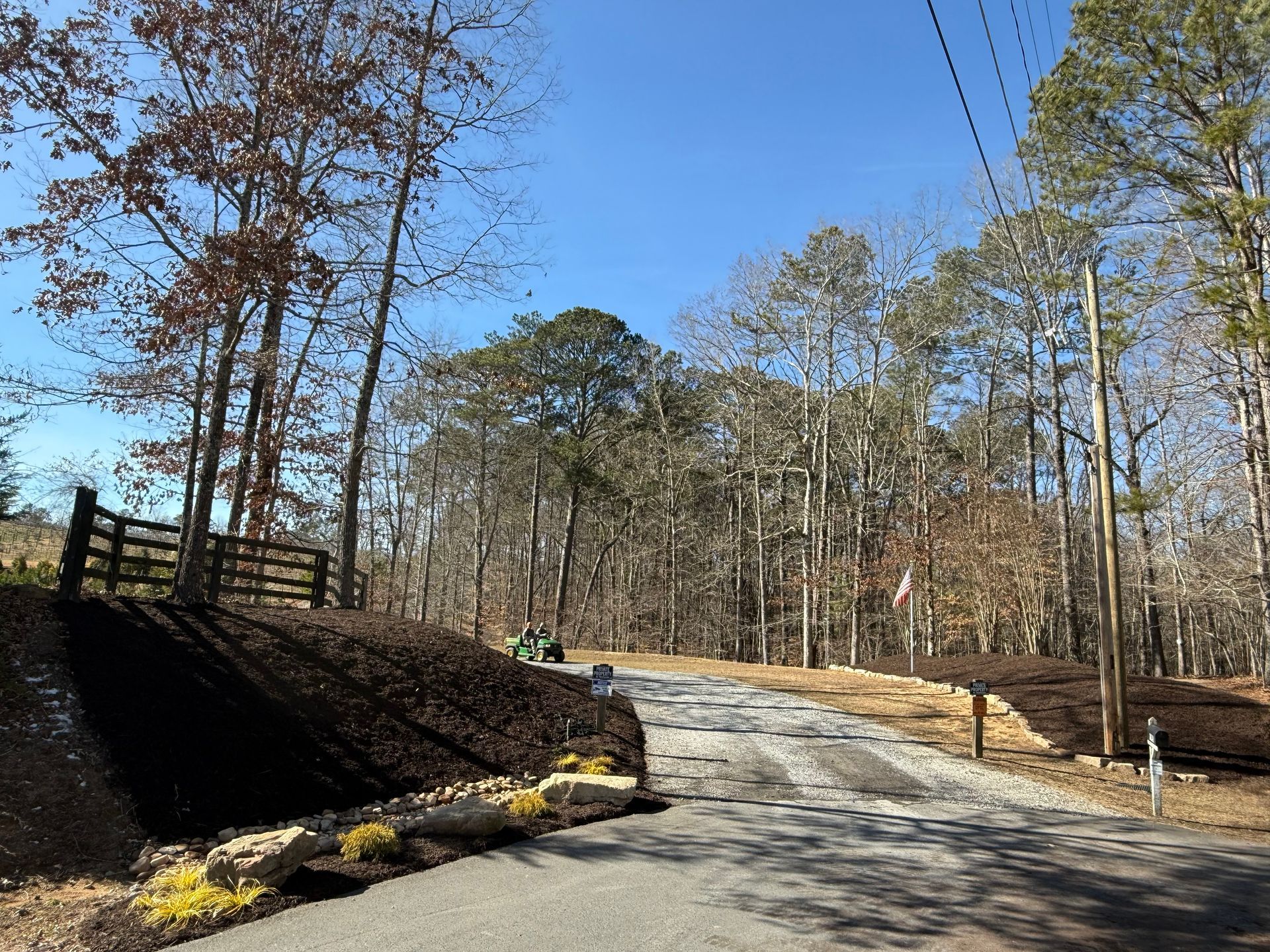 A road going through a forest with trees on both sides