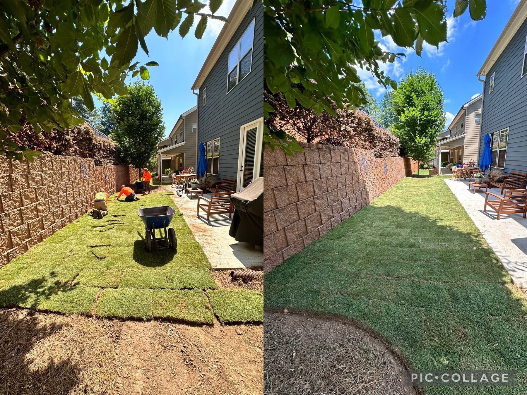 A before and after picture of a lawn being installed in a backyard.