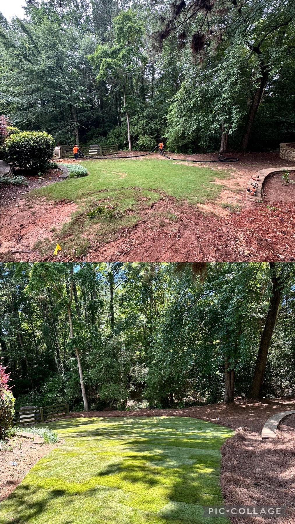 A before and after picture of a lush green lawn surrounded by trees.