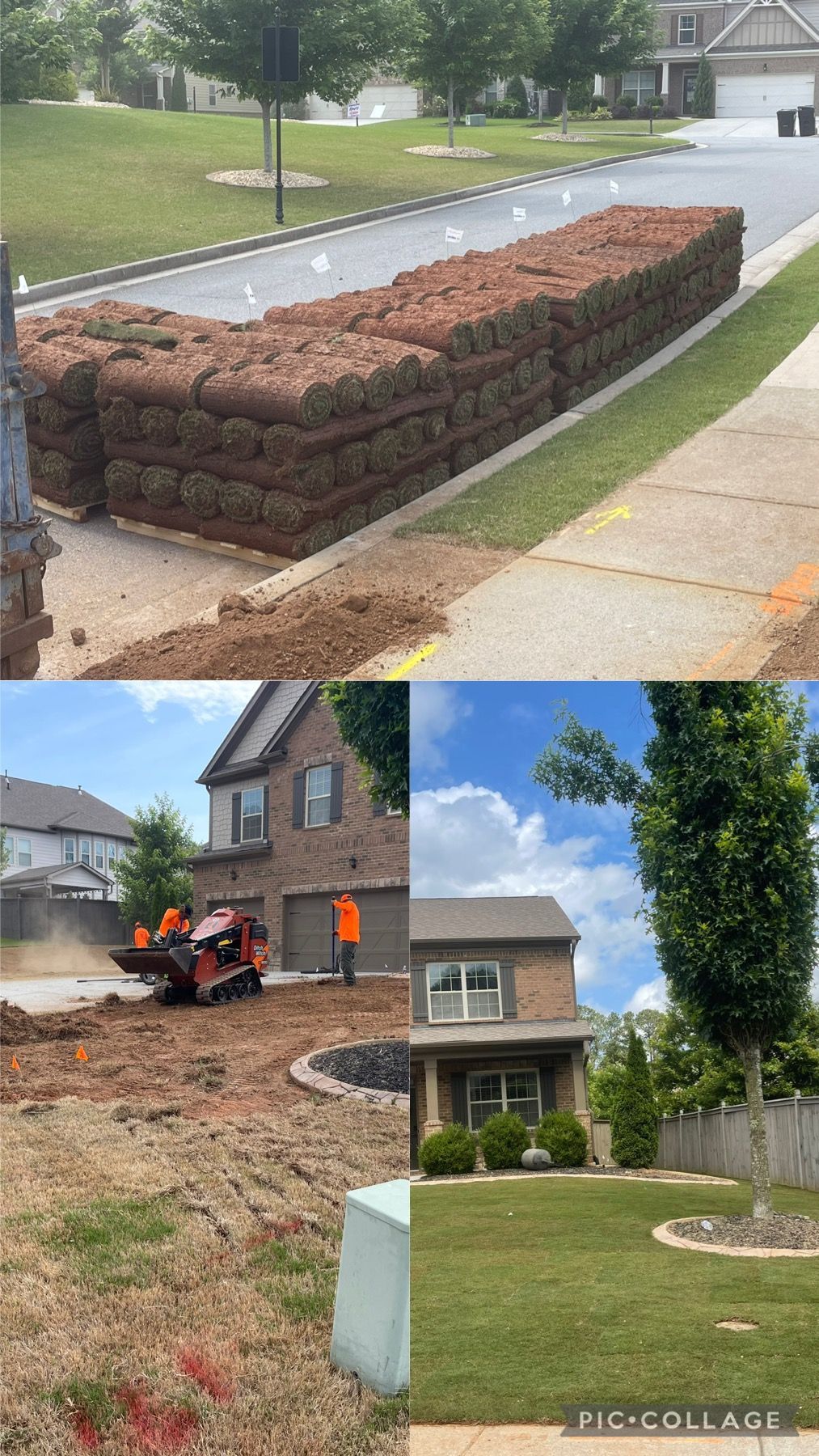 A collage of four pictures of a lawn being installed.