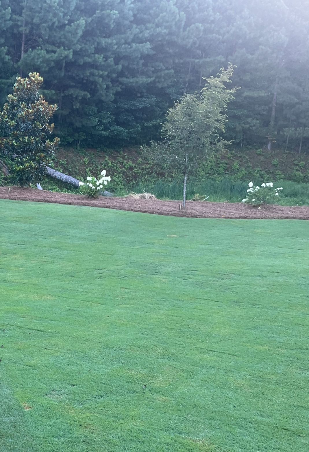 A large lush green field with trees in the background.
