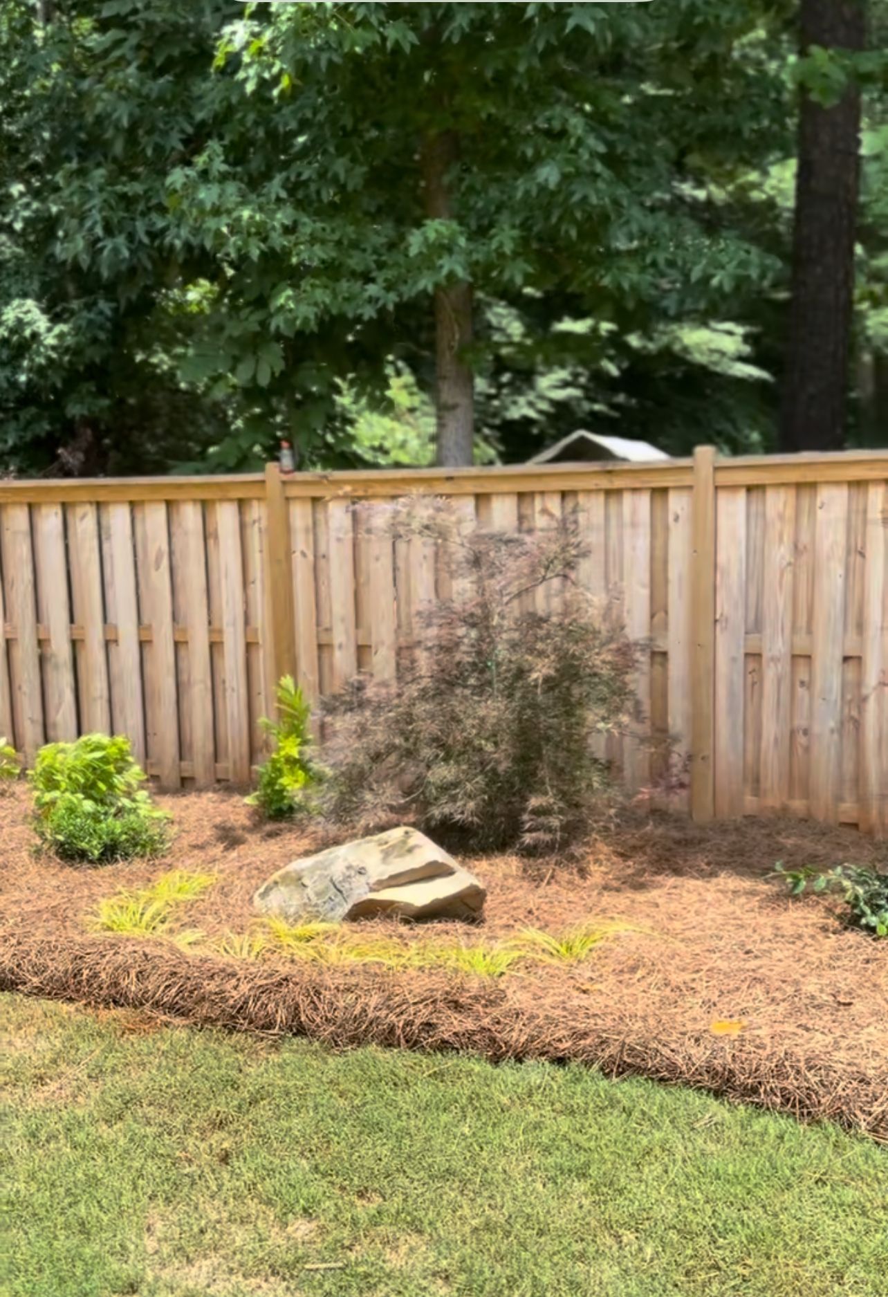 A wooden fence surrounds a lush green lawn in a backyard.