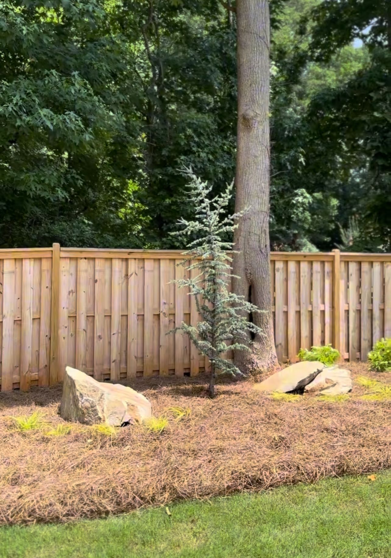 A wooden fence surrounds a lush green yard with trees and rocks.