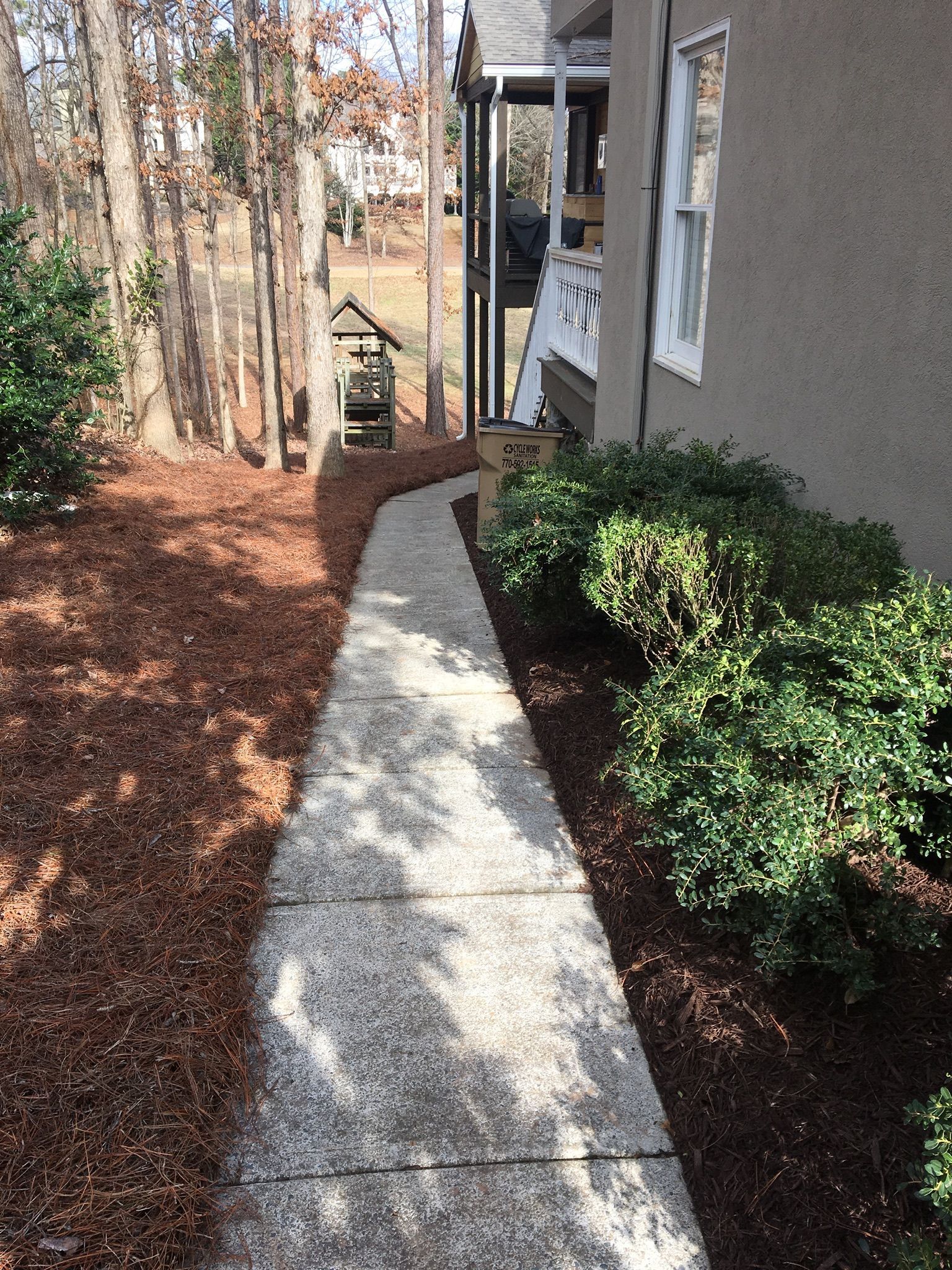 A sidewalk leading to a house surrounded by trees and bushes.