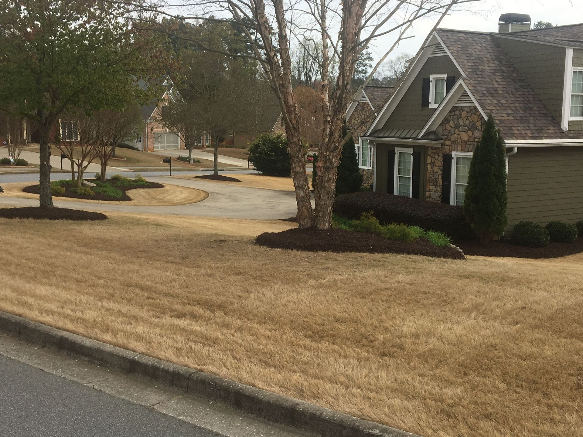 A house with a lot of grass in front of it